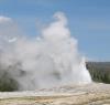 Old Faithful 3.jpg